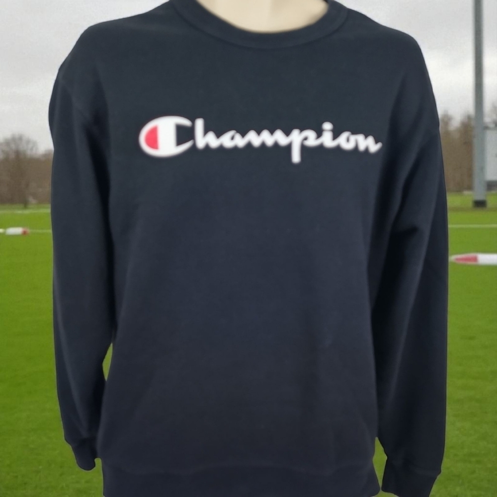 Vtg Champion Mens Medium Sweatshirt Big Print Fall Casual Wear